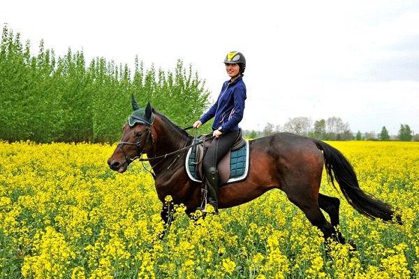 Améliorer son assiette en équitation, cavalier et cheval, champs de fleure