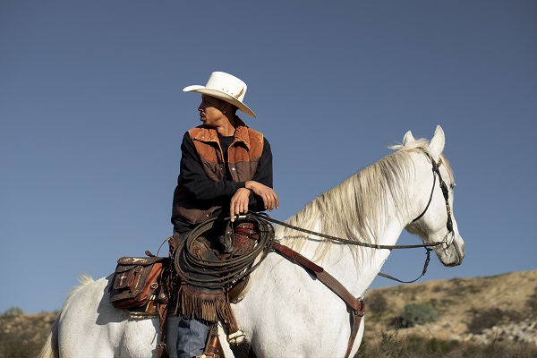 Guide de l'équitation western, cow-boy avec cheval blanc