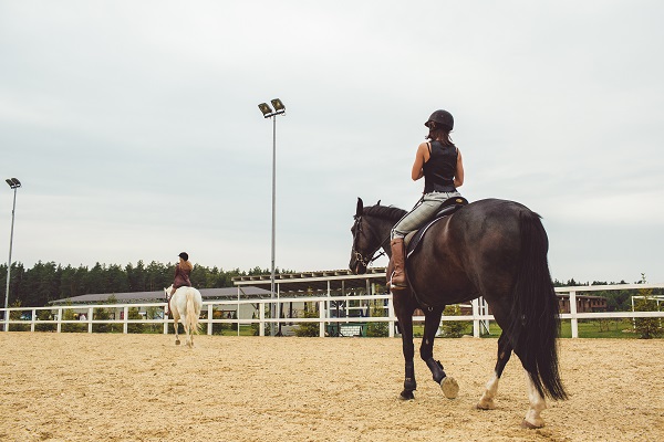 La différence entre les hunters et les sauteurs en équitation