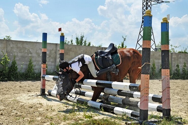 pourquoi l'équitation est un sport dangereux, chutes d'un cavalier avec son cheval