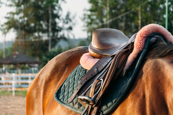 Comment arrêter une selle qui grince?