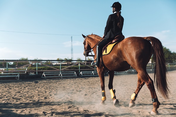 L'équitation, une aide précieuse pour les personnes handicapées, cavalier uniforme  et cheval