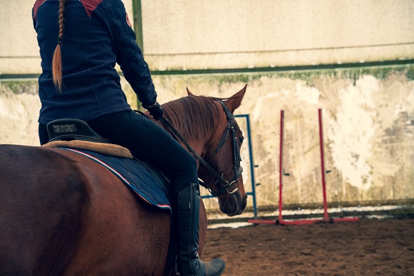 Comment assurer la sécurité de son matériel d'entraînement, de soins, de compétition et de voyage en équitation? sécurité équipements équitation