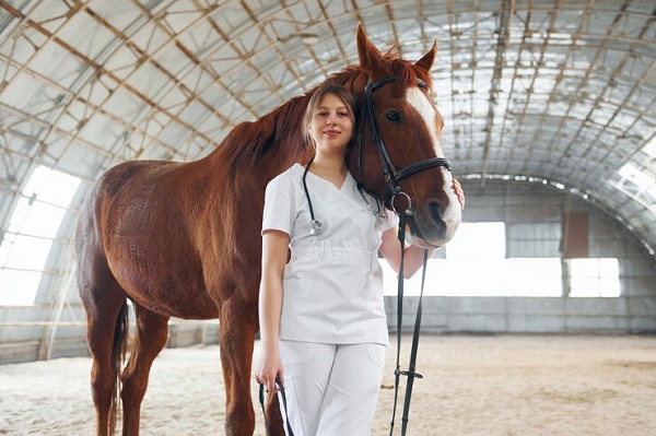 Comment gérer les problèmes de santé de son cheval ou de son poney?