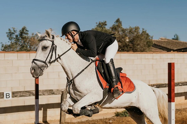 Cavalier-sautant-par-dessus-obstacles-son-cheval-blanc-Comment prévenir les accidents et les blessures en équitation?