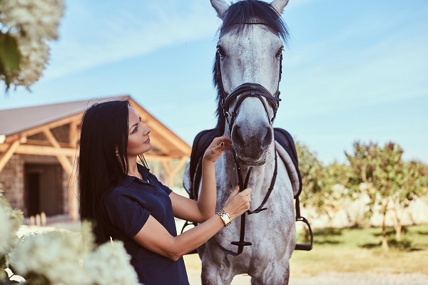 belle-brune-fille-caressant-son-cheval-gris-pres-de-lilas-buissons-dans-le-jardin -Préparation d'un cheval ou d'un poney pour un voyage : guide complet