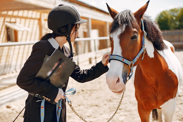 belle-femme-debout-avec-cheval-Comment assurer un cheval ou un poney?