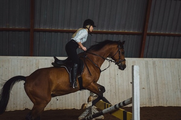 fille cheval-entrainement-
Comment choisir un matériel d'entraînement adapté à son niveau en équitation?