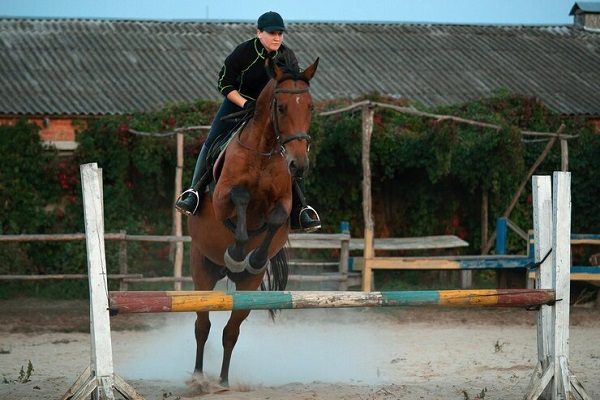 cavaliere-cheval-n-sautant-cloture-dans-manege-parkour-sablonneux_Comment assurer la sécurité d'un cheval lors des compétitions?