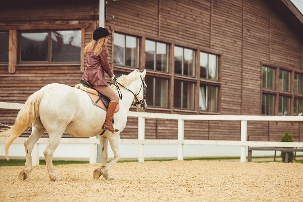 cavalière et cheval ,Comment s'inscrire à un club d'équitation ou à un centre équestre, 