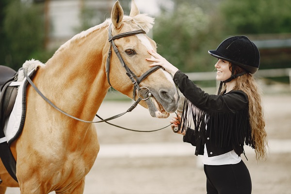 Comment entretenir son matériel de compétition en équitation?