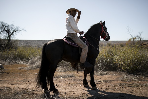 cowboy-silhouette-avec-cheval-Comment prévenir les problèmes de sécurité en équitation?