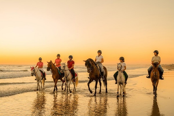 groupe-équestre-marchant-leurs-chevaux-long-du-bord-mer-Comment organiser et préparer un voyage équestre avec un groupe?