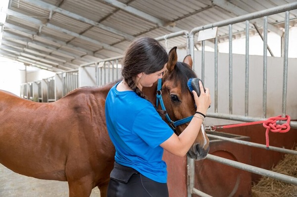 jeune-femme-se-brosser-chevaux-dans-ecurie-Comment choisir un matériel de soins adapté à ses besoins en équitation?