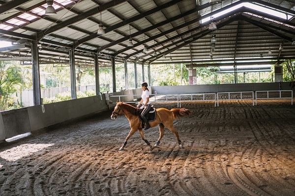 Quels sont les avantages et les inconvénients de l'équitation en extérieur versus en intérieur?