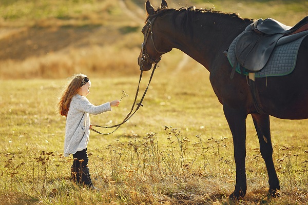 mignonne-petite-fille-dans-le-champ-d-automne-avec-cheval- Comment choisir un cheval ou un poney adapté à sa morphologie