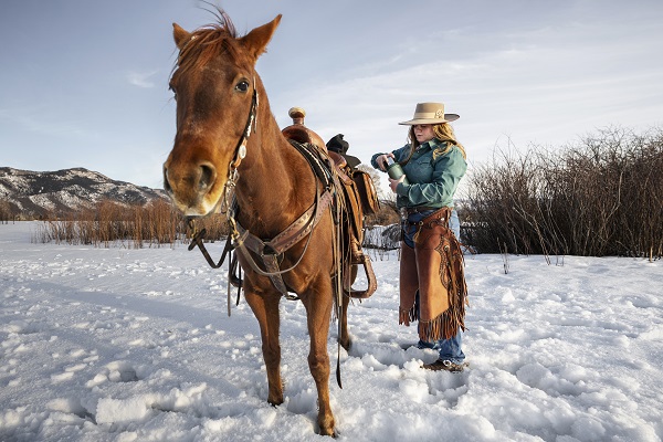 animal pendant l'hive-Comment entretenir son cheval ou son poney pendant l'hiver