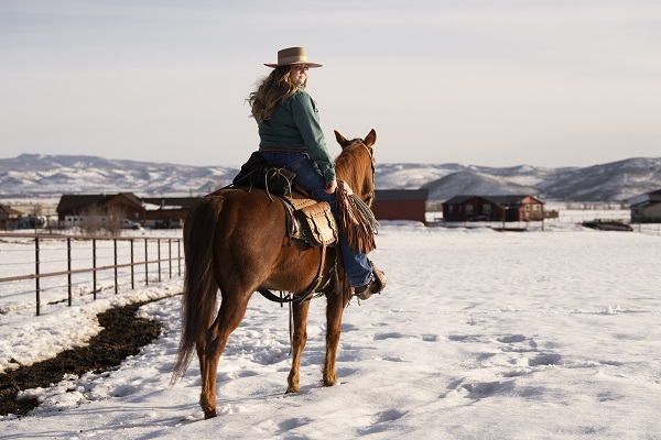 Quels sont les différents types de matériel de voyage utilisés en équitation?