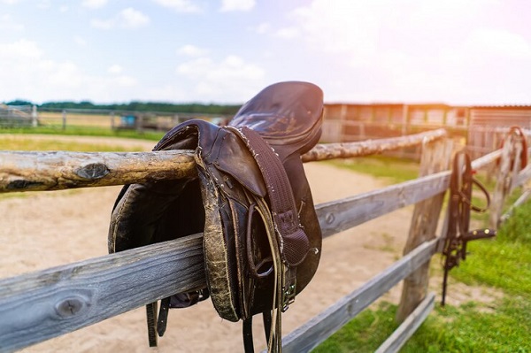 selle cheval-accroché- Comment entretenir sa selle d'équitation 