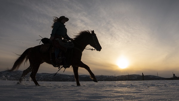 Comment devenir juge d'équitation?