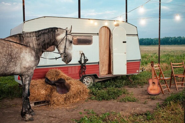 van cheval Comment assurer la sécurité de son cheval/poney lors des déplacements?